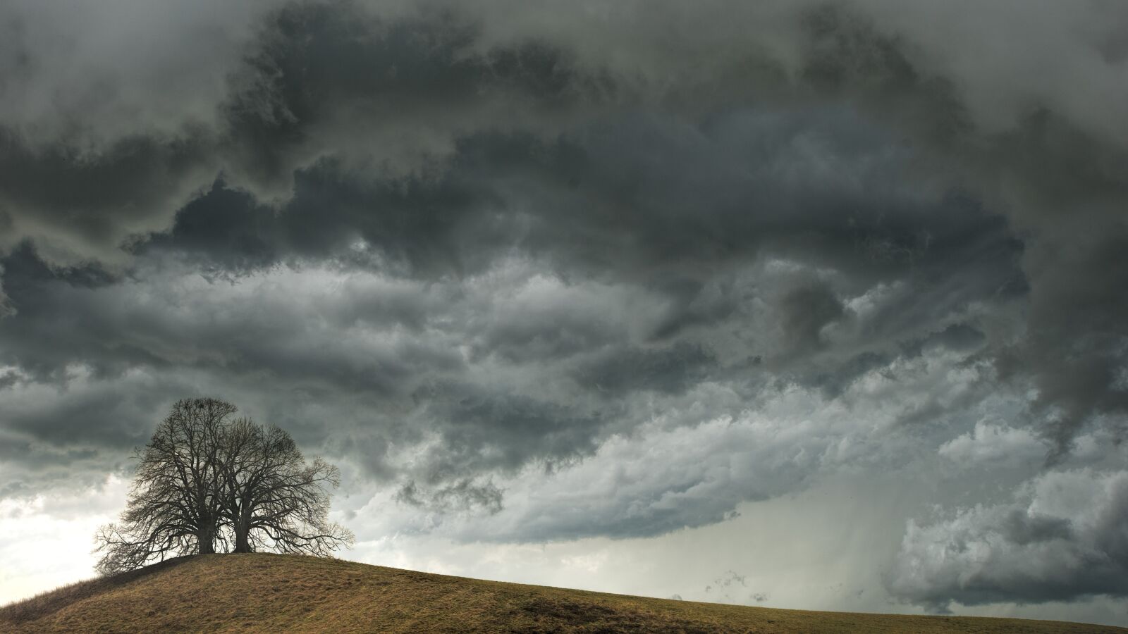 Sony a7 + Sony DT 50mm F1.8 SAM sample photo. Tree, weather, clouds photography