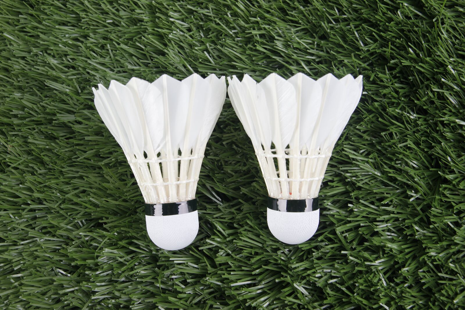 Canon EOS 550D (EOS Rebel T2i / EOS Kiss X4) sample photo. Badminton, sport, shuttlecock photography