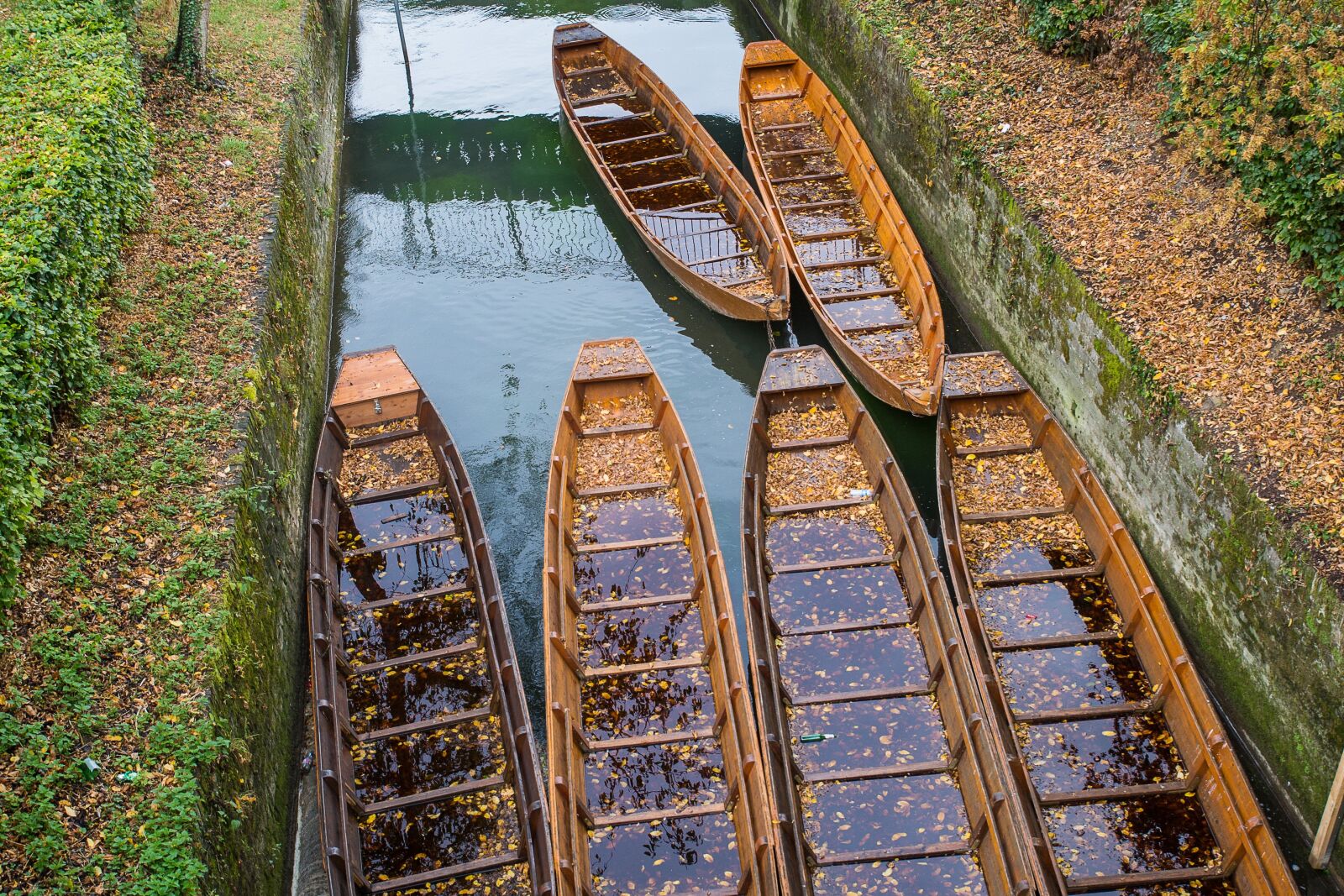 Canon EOS 5D Mark III sample photo. Ulm, danube, kahn photography