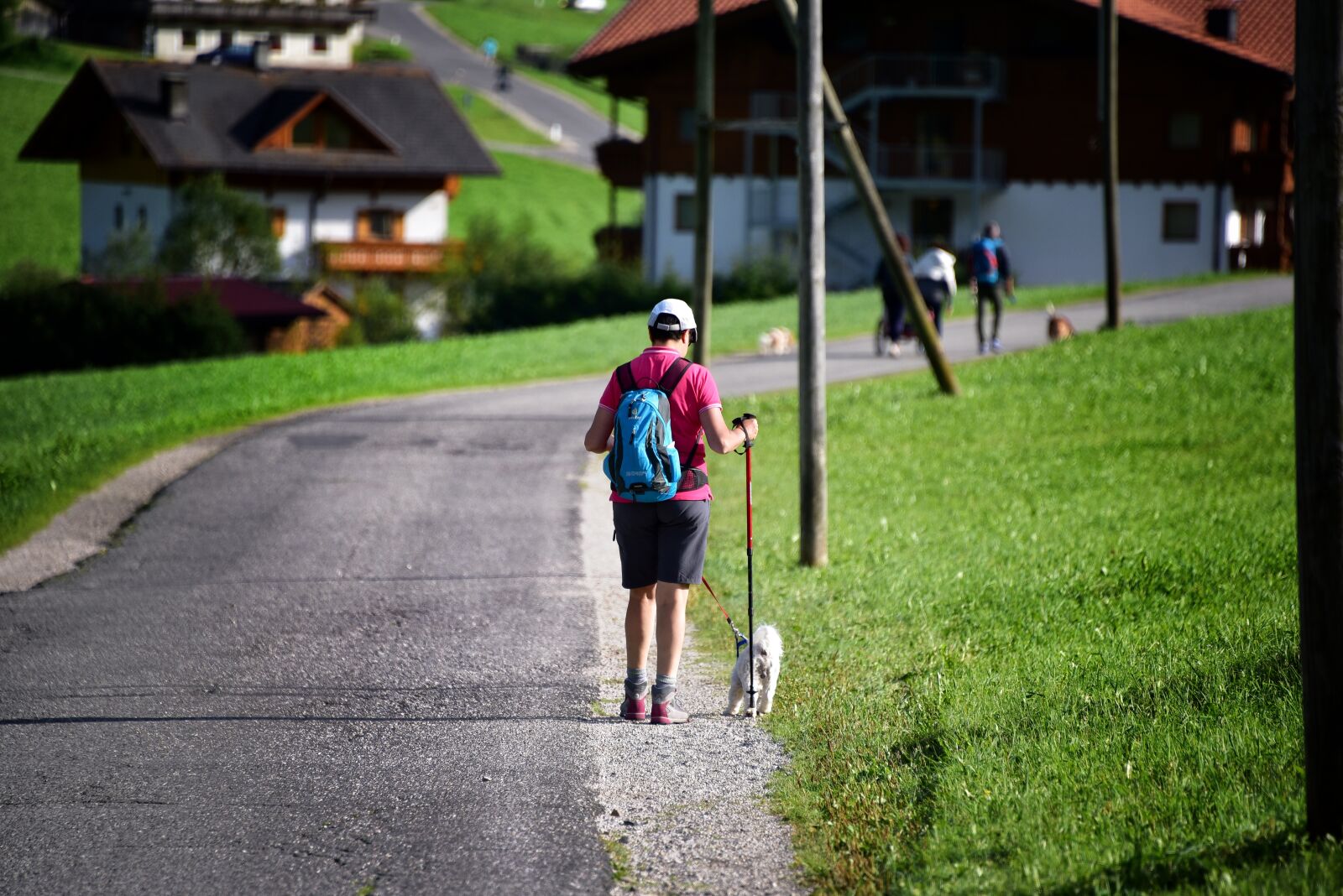 Nikon D750 sample photo. Road, walk, mountain photography