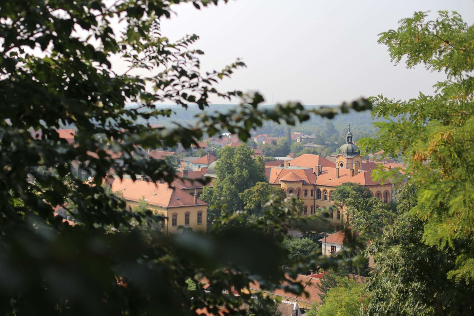 Canon EOS 6D + Canon EF 50mm F1.4 USM sample photo. Downtown, panorama, town, roof photography