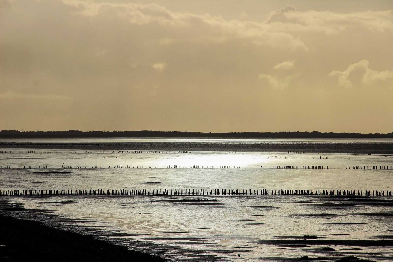 Canon EOS 600D (Rebel EOS T3i / EOS Kiss X5) sample photo. Wadden sea, denmark, water photography