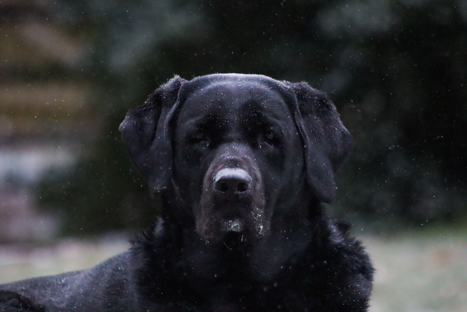 Canon EOS R100 sample photo
