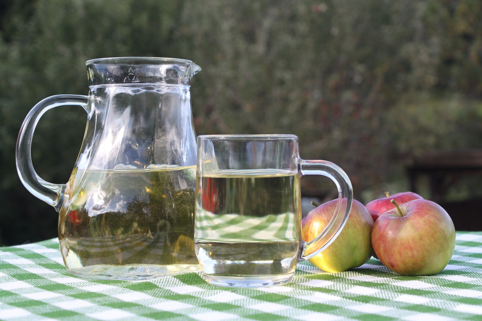 Canon EOS 50D sample photo. Apple, drink, fruit photography