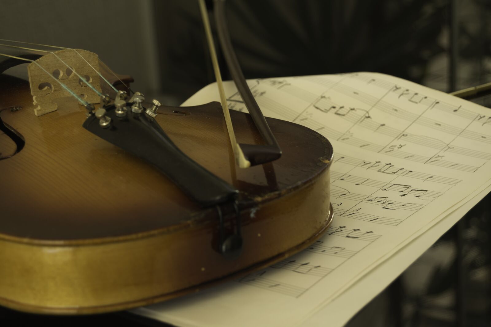 Nikon D3100 sample photo. Violin, music sheet, violin photography