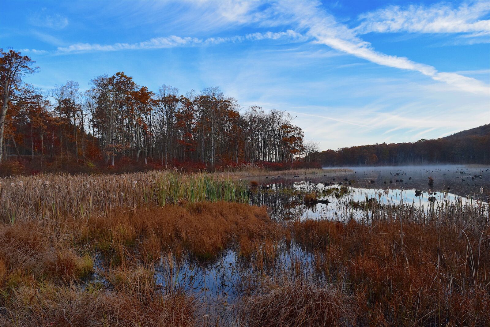 Nikon D3300 sample photo. Lake, coast, water photography