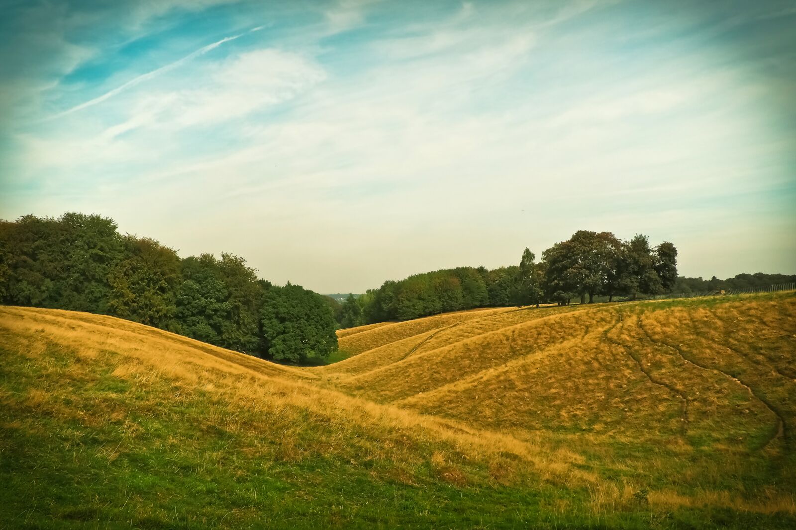 Olympus OM-D E-M10 sample photo. Landscape, nature, meadow photography