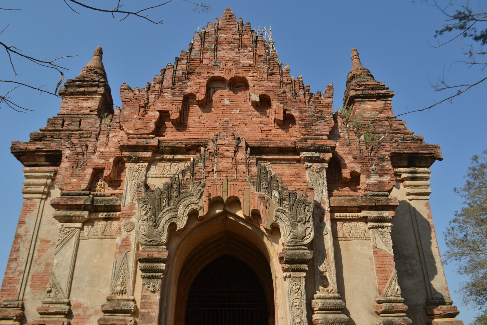 Nikon D3100 sample photo