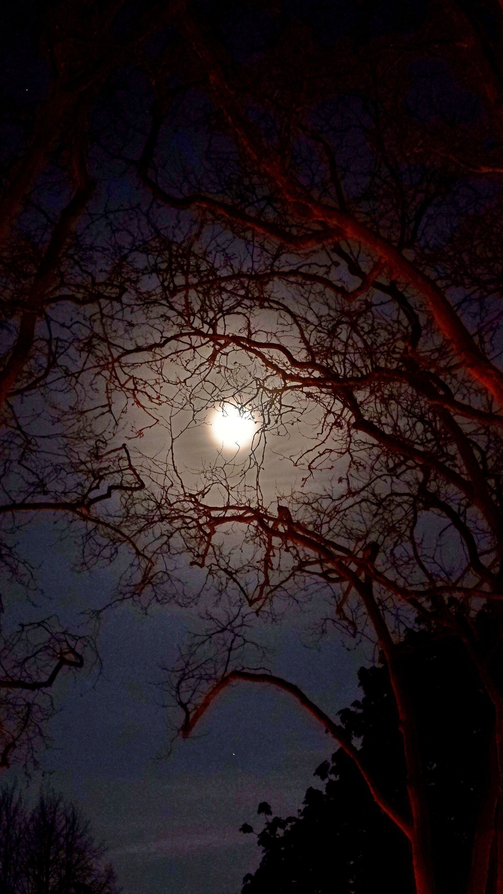 Fujifilm X-T100 sample photo. Moon, nature, night photography
