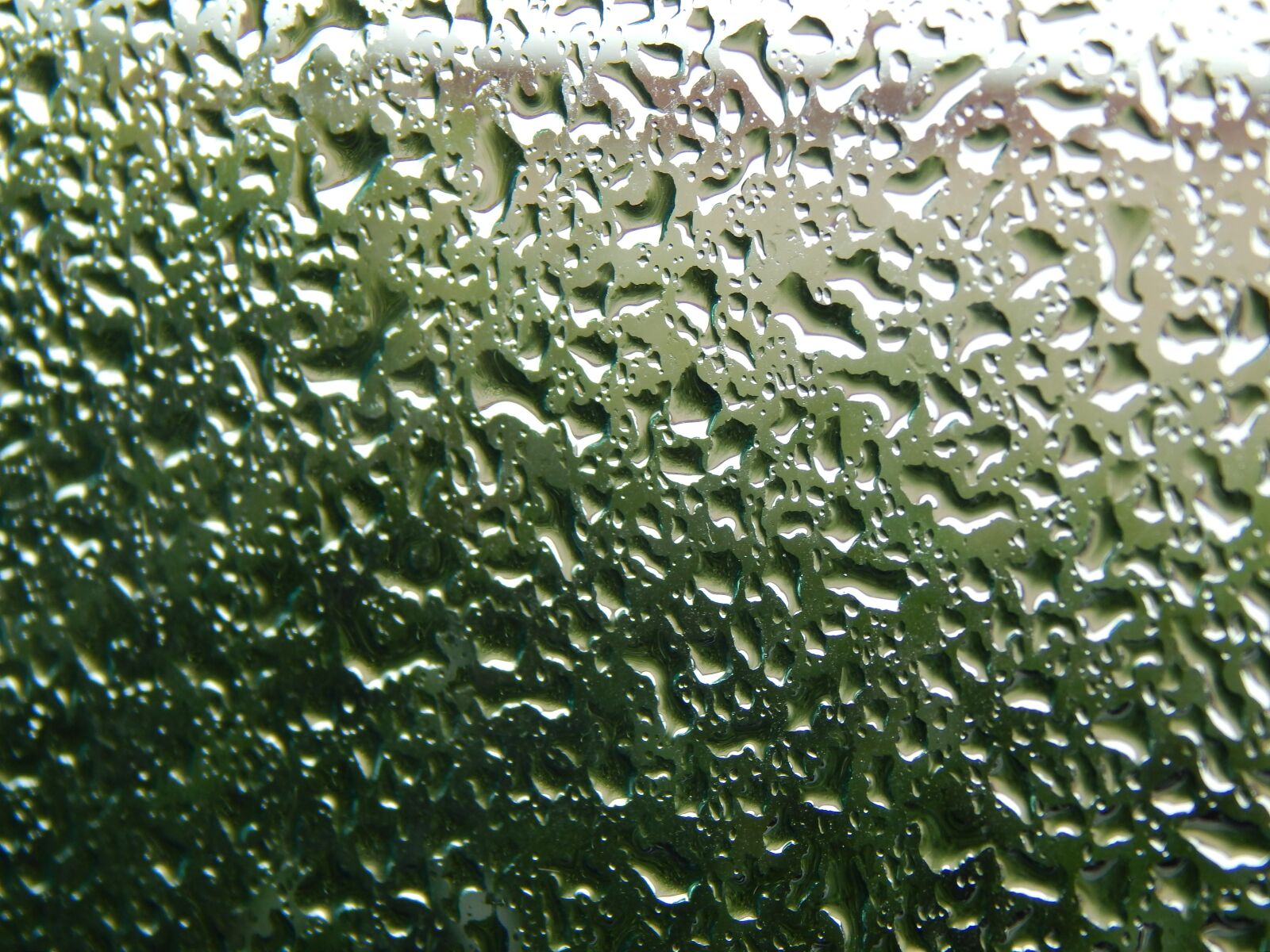 Nikon Coolpix L820 sample photo. Glass wet, drops, rain photography