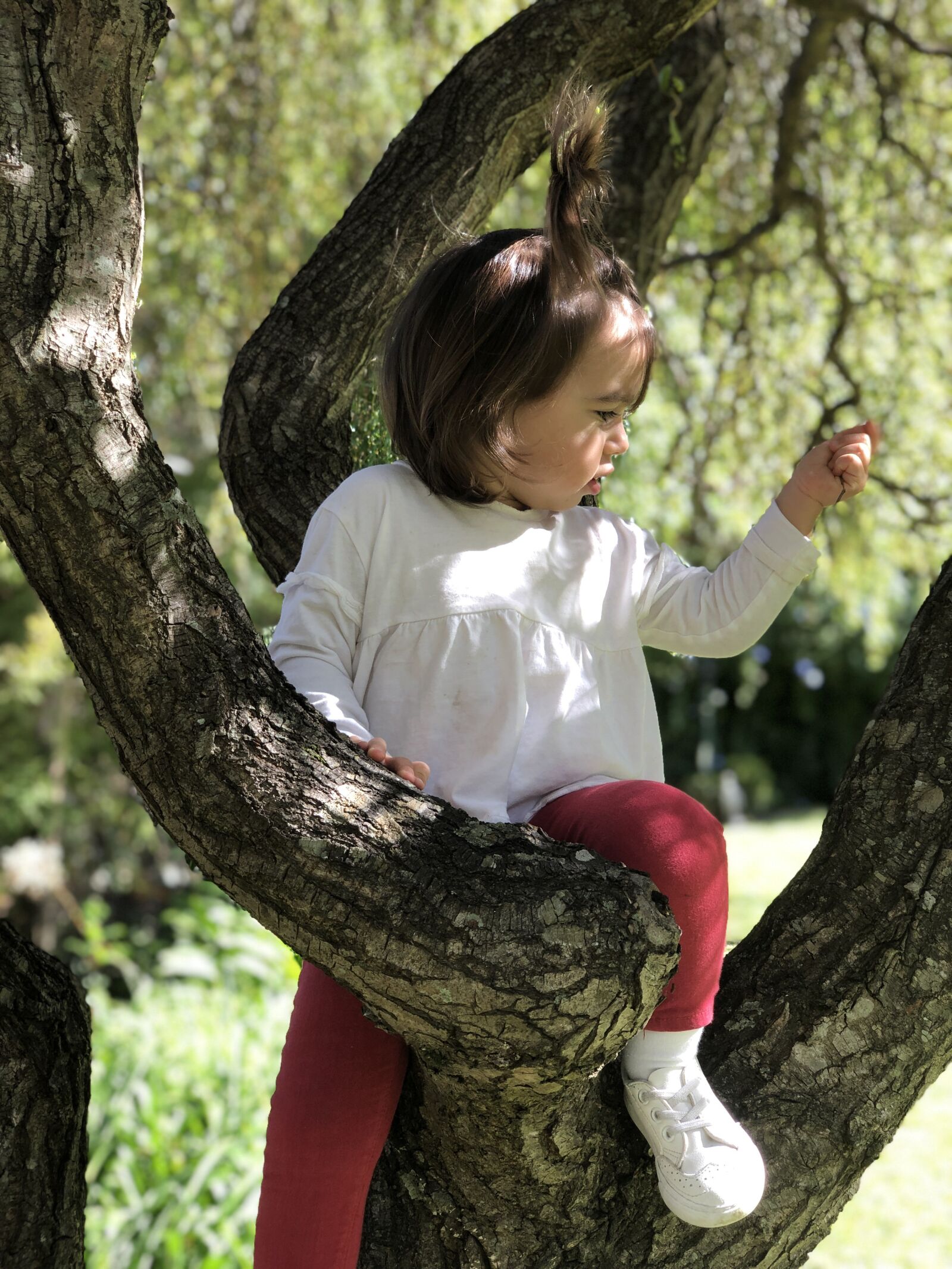 iPhone X back dual camera 6mm f/2.4 sample photo. Kid, tree, summer photography
