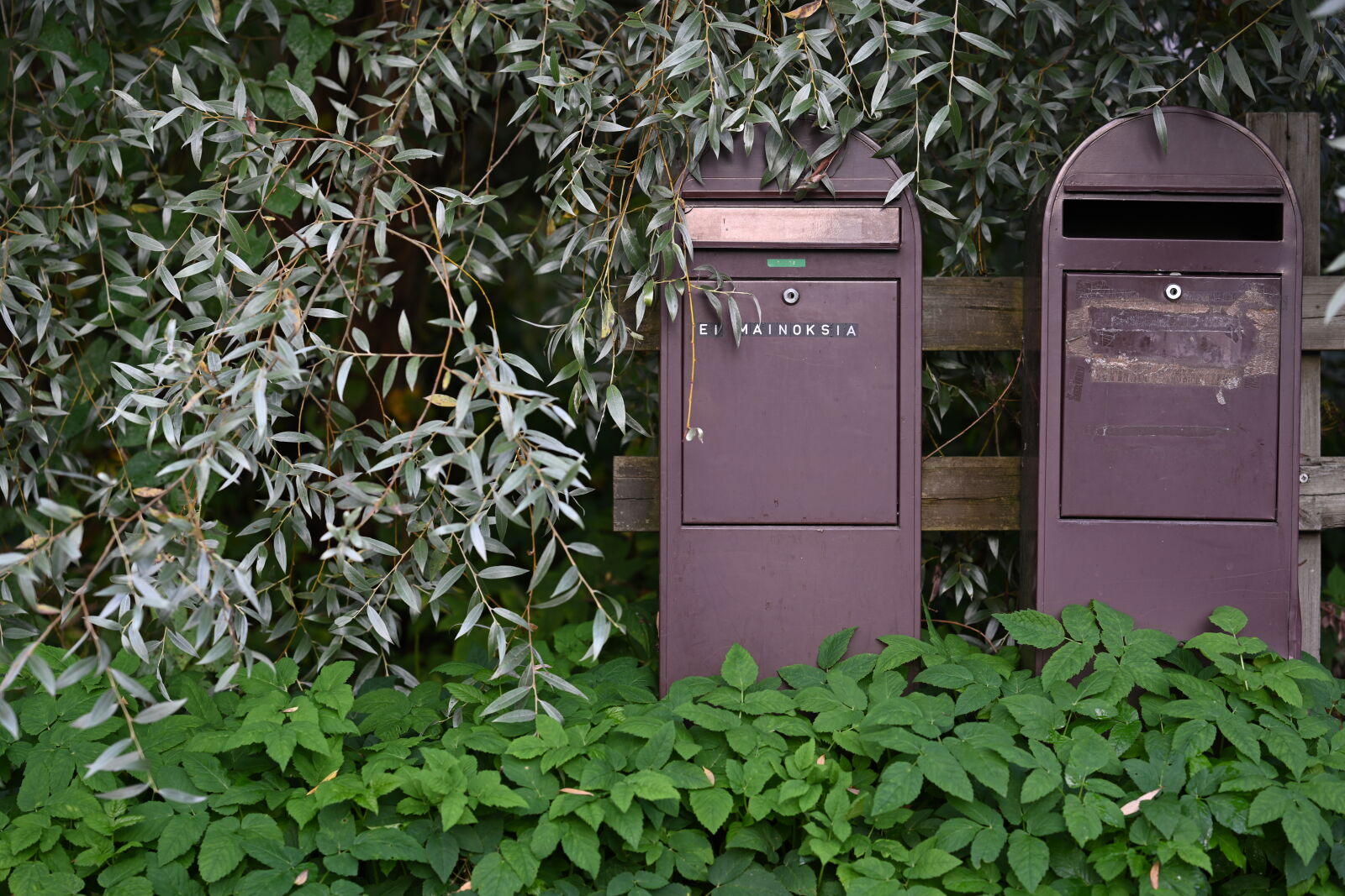 Nikon Nikkor Z 85mm F1.8 S sample photo. Overgrown mailboxes photography