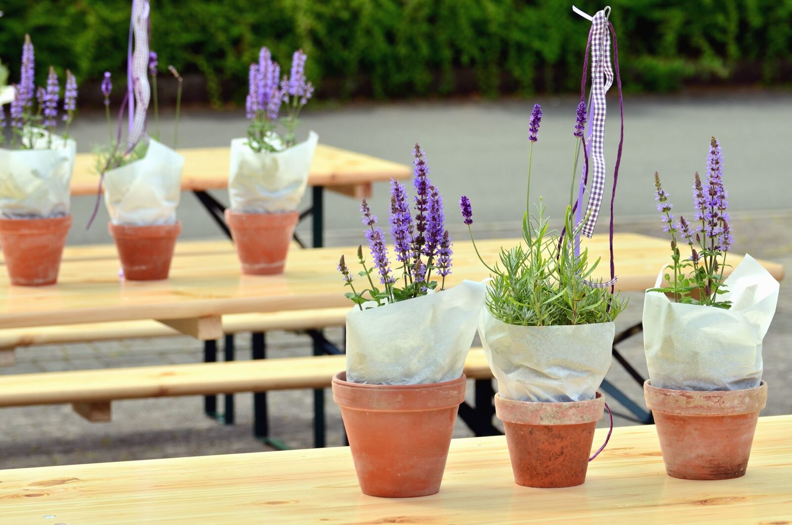 Nikon D5100 sample photo. Table, bench, flower pot photography