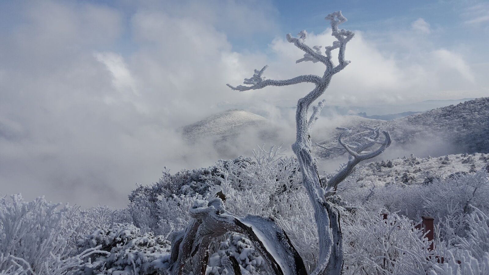 Samsung Galaxy Note5 sample photo. Korea, mountain, taebaeksan, winter photography