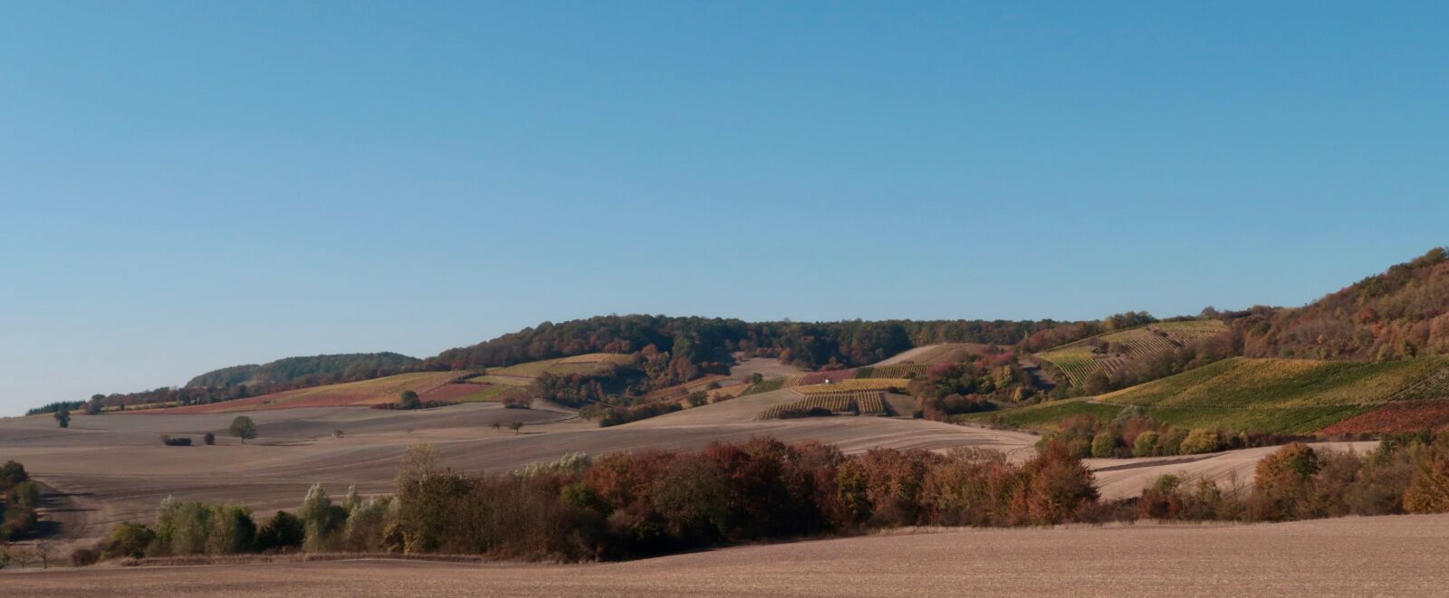 Canon PowerShot G7 X Mark II sample photo. Landscape, agriculture, autumn photography