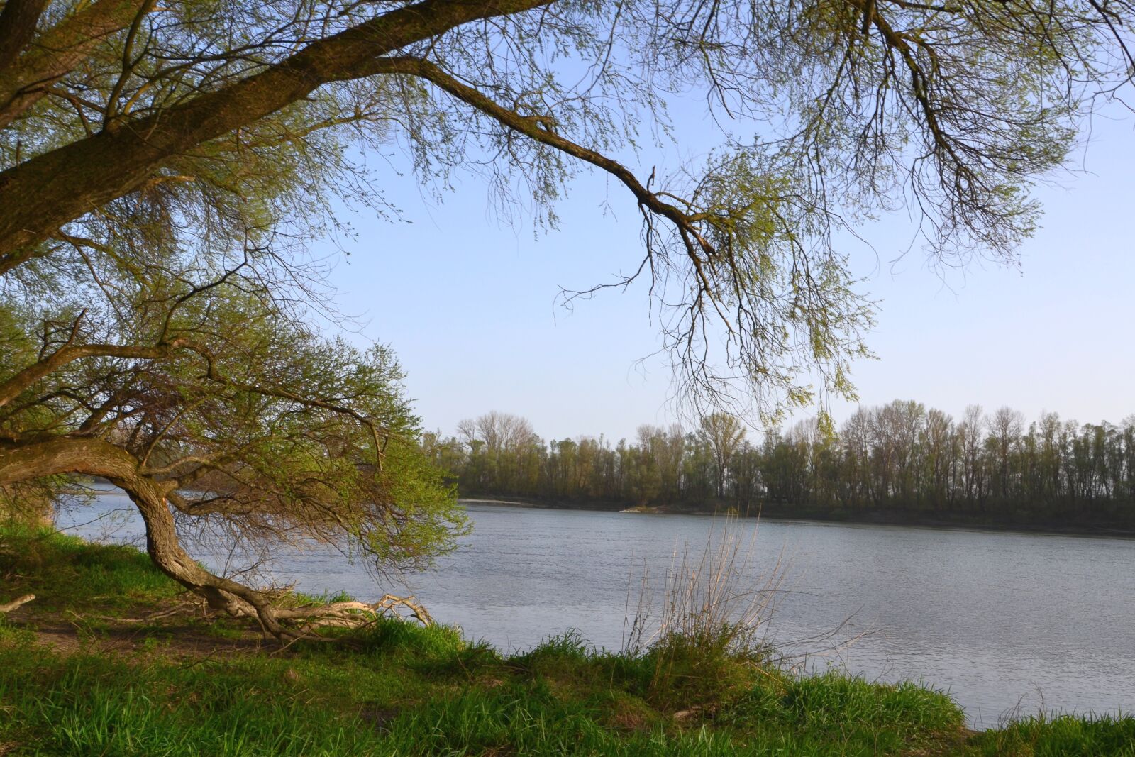 Nikon D3100 sample photo. Hungary, croatia, baranya photography