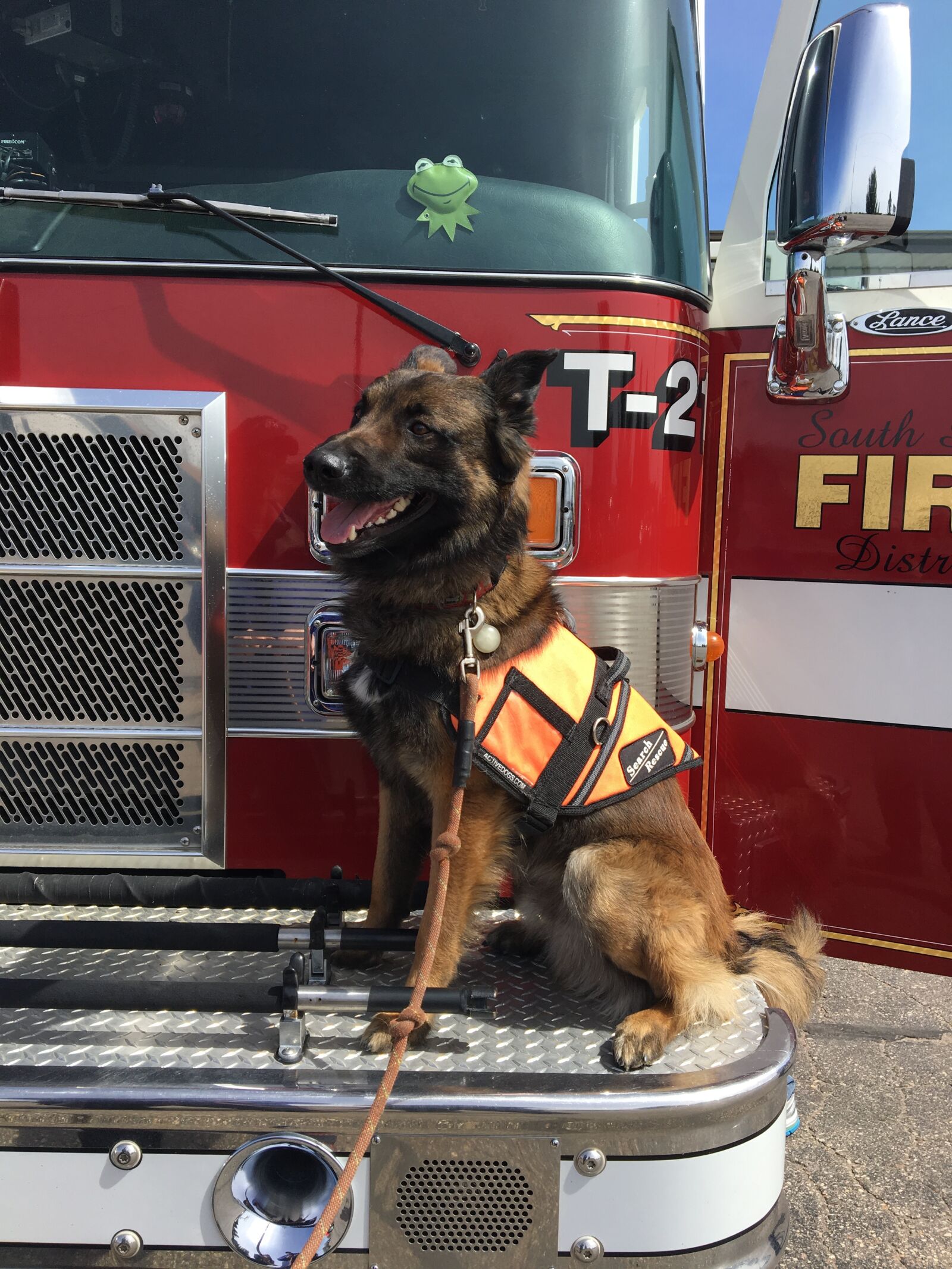 Apple iPhone 6s sample photo. Firefighters, firetruck, dog photography
