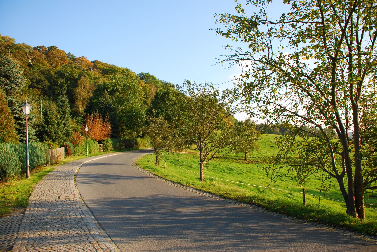Nikon D80 sample photo. Road, landscape, asphalt photography