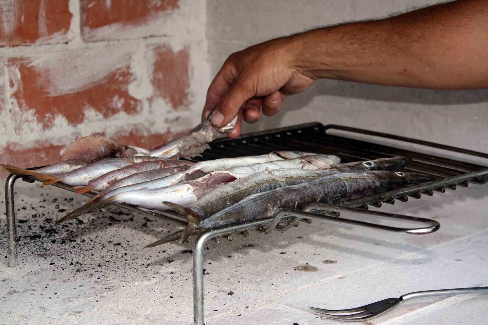 Canon EOS 450D (EOS Rebel XSi / EOS Kiss X2) sample photo. Fish, cooking, baked photography