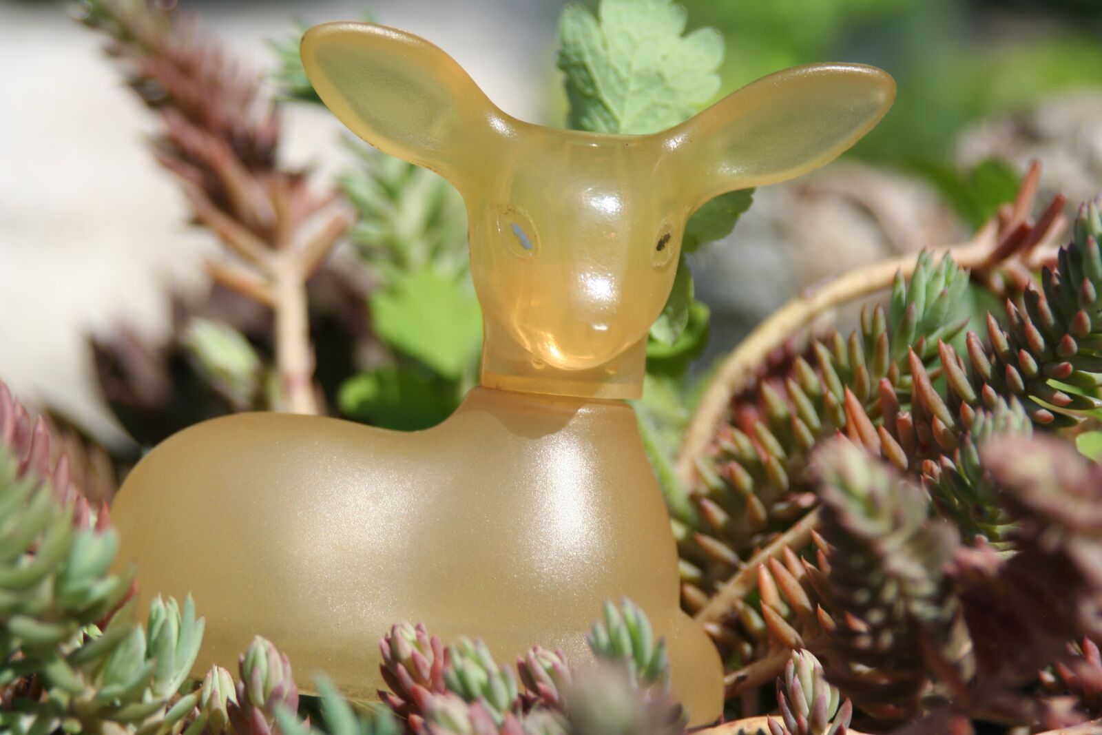 Canon EOS 350D (EOS Digital Rebel XT / EOS Kiss Digital N) sample photo. Bottle, roe deer, glass photography