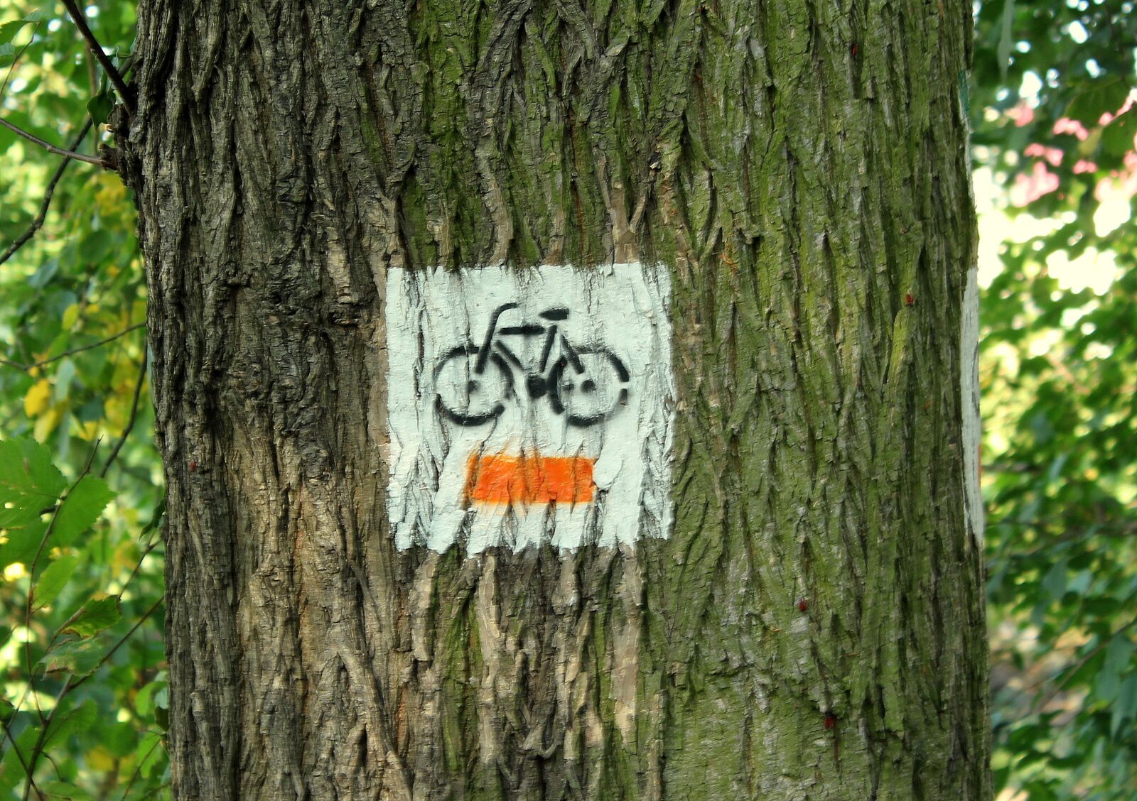 Canon EOS 1200D (EOS Rebel T5 / EOS Kiss X70 / EOS Hi) sample photo. Bike tracks, sign, symbol photography
