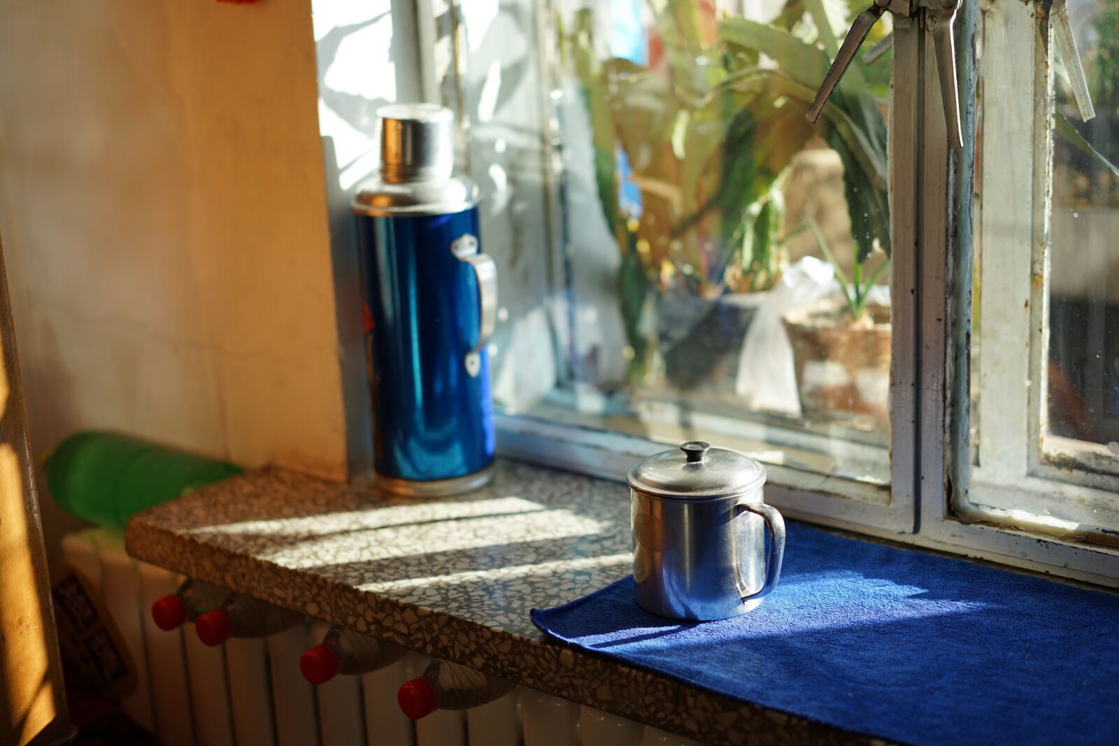 Sony a7 II + Sony Sonnar T* FE 55mm F1.8 ZA sample photo. Warm, recall, home photography