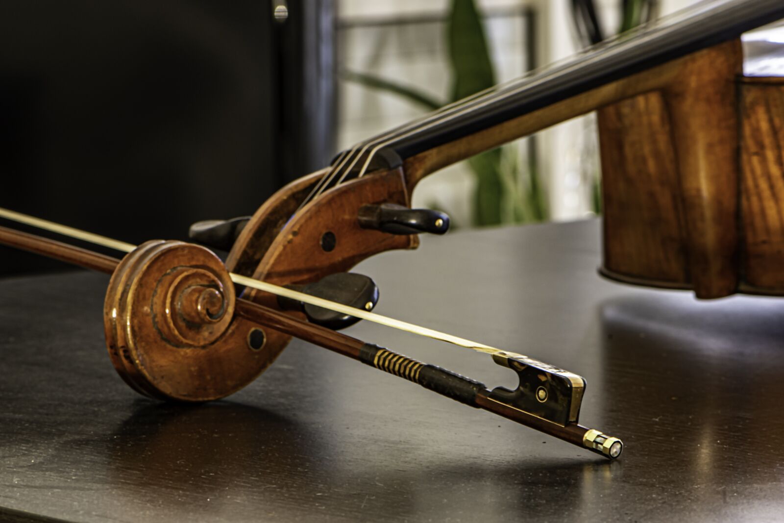 Nikon D5600 sample photo. Cello, bow, instrument photography
