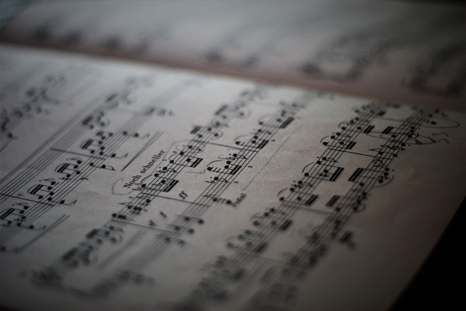 Canon EOS 600D (Rebel EOS T3i / EOS Kiss X5) sample photo. Lyrics, sheet music, note photography