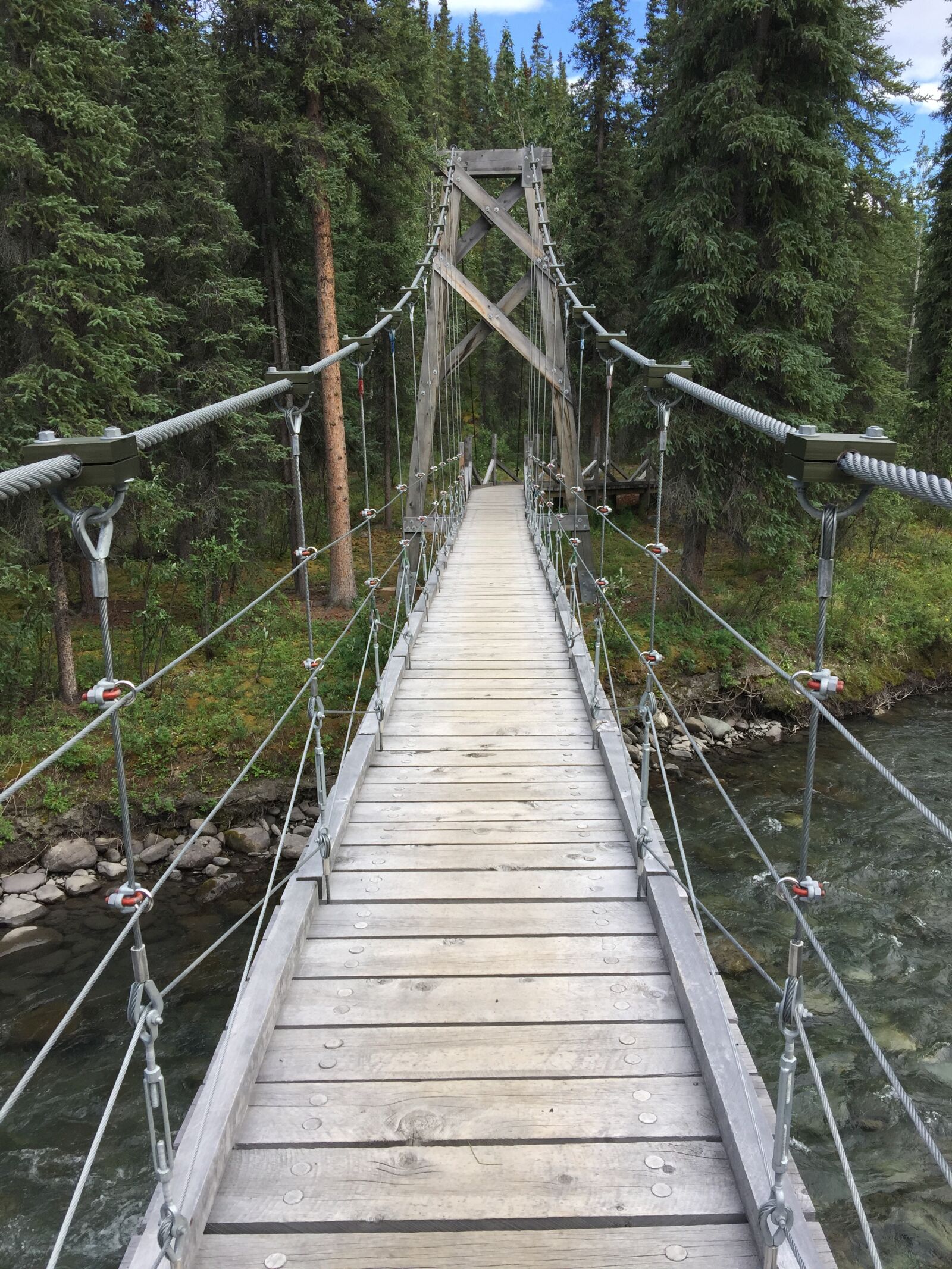 iPhone 6 Plus back camera 4.15mm f/2.2 sample photo. Hanging bridge, bridge, river photography