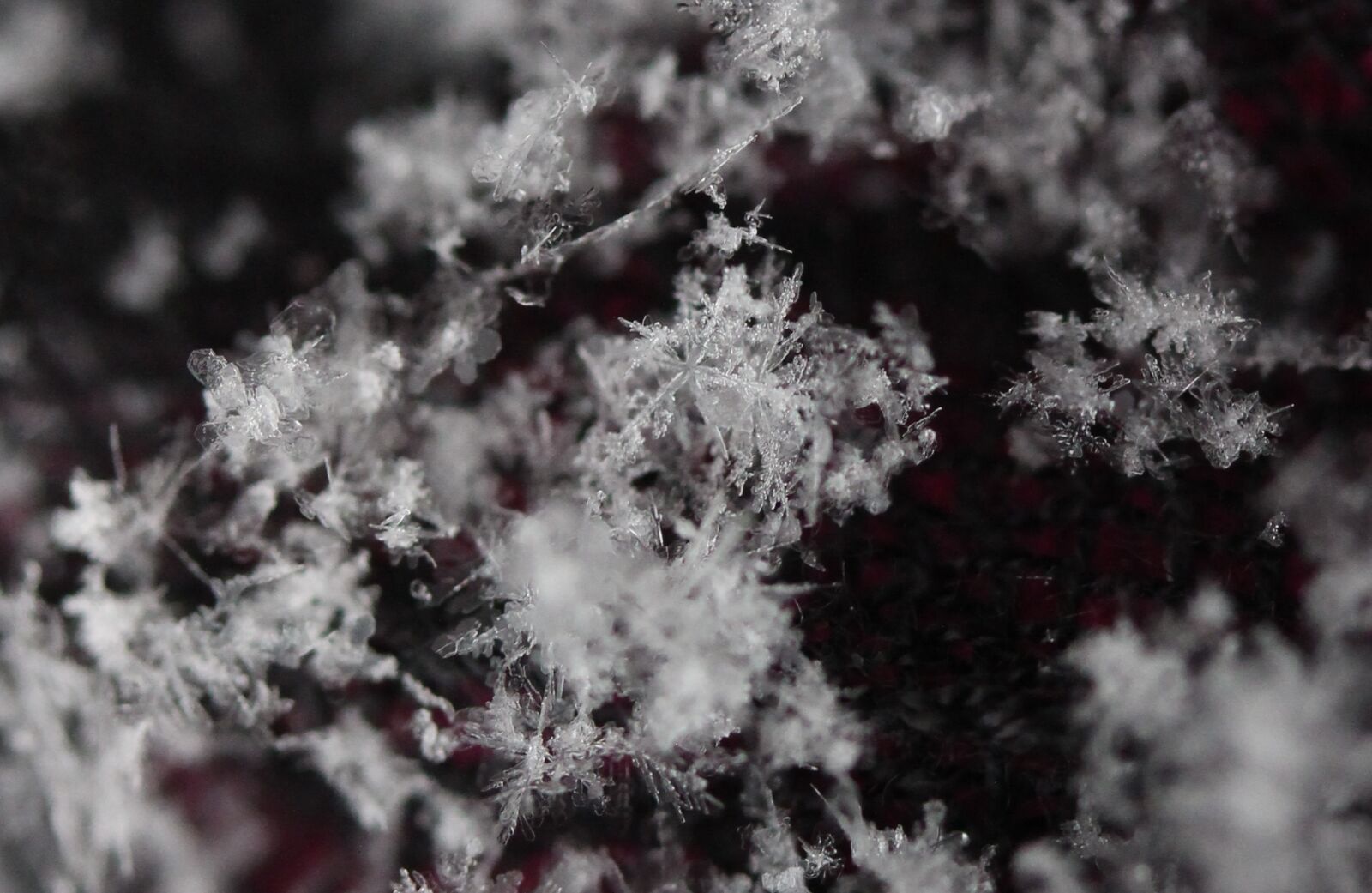 Canon EF-S 60mm F2.8 Macro USM sample photo. Snowflake, winter, white photography