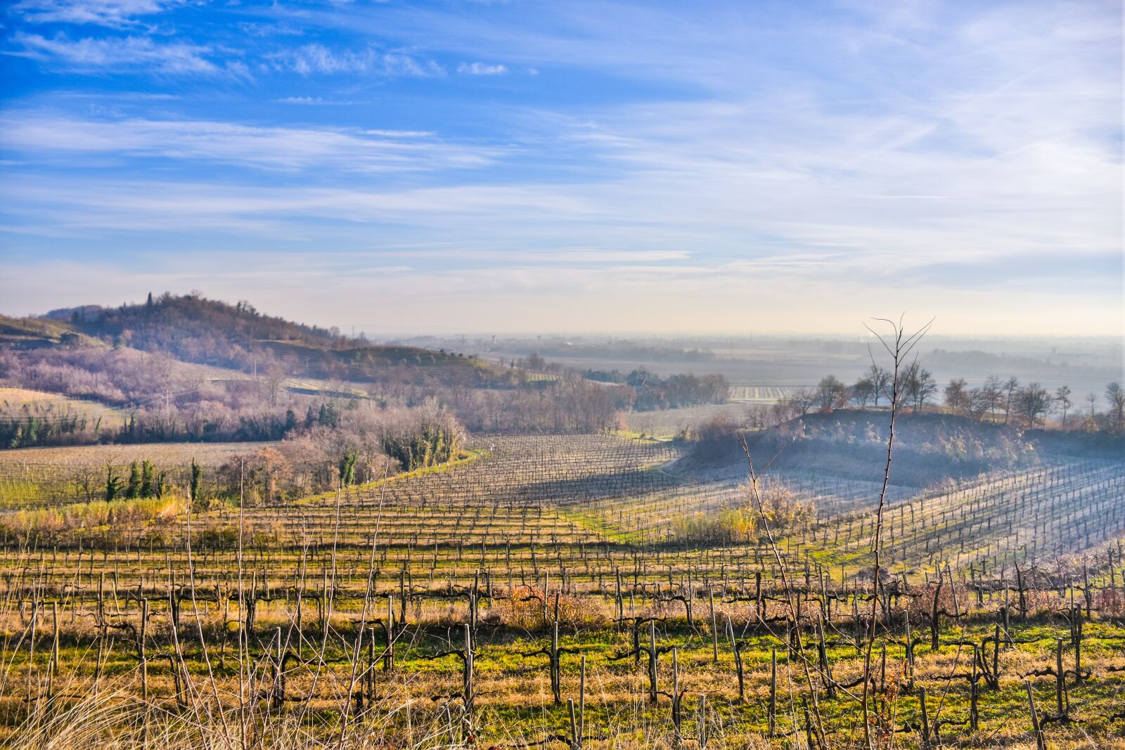 Nikon D7200 sample photo. Landscape, nature, screw photography