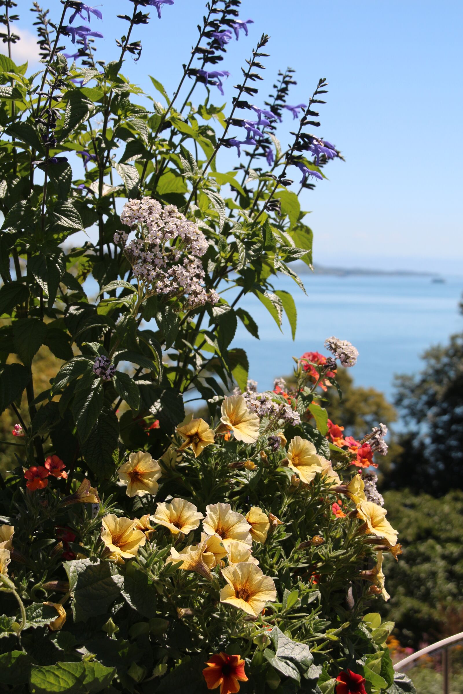Canon EOS 650D (EOS Rebel T4i / EOS Kiss X6i) sample photo. Mainau, lake constance, island photography