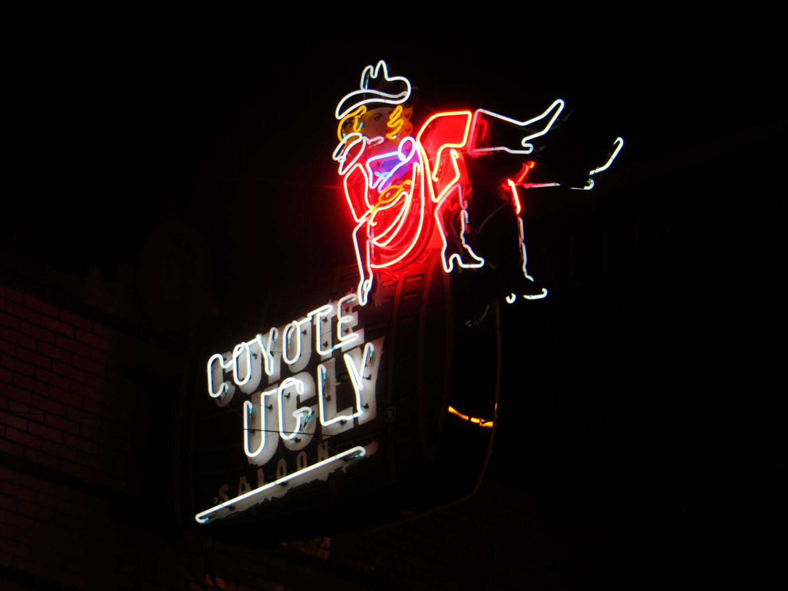 Canon PowerShot SX240 HS sample photo. Coyote, ugly, neon, signage photography