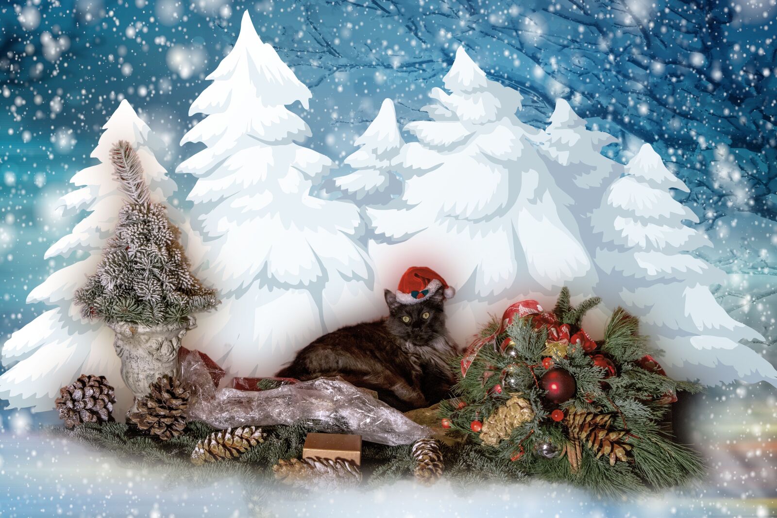 Canon EOS 5D Mark III sample photo. Christmas, snow, cat photography