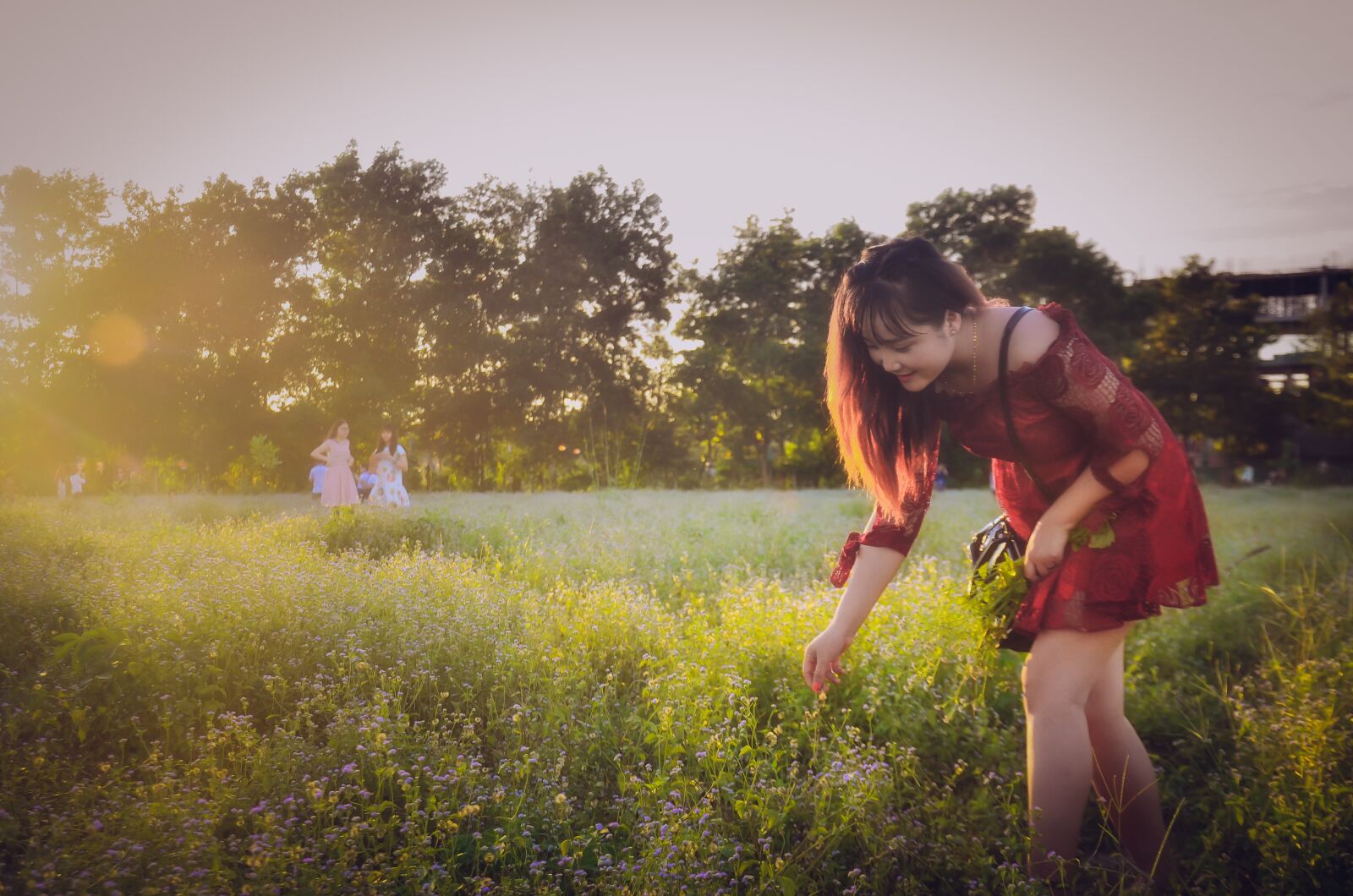 Nikon D5100 sample photo. Girl, beautiful, picking flowers photography