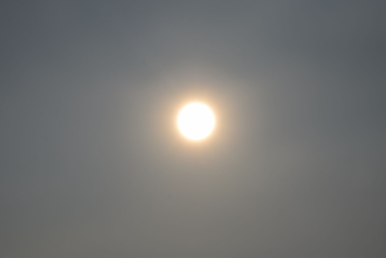 Nikon D5300 sample photo. Daylight, sun, sunshine photography