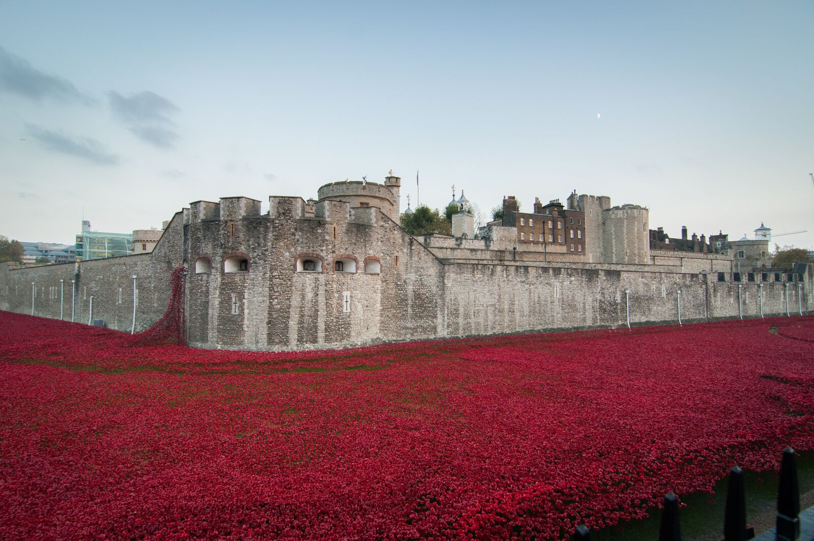 Nikon D90 sample photo. Tower of london, remembrance photography