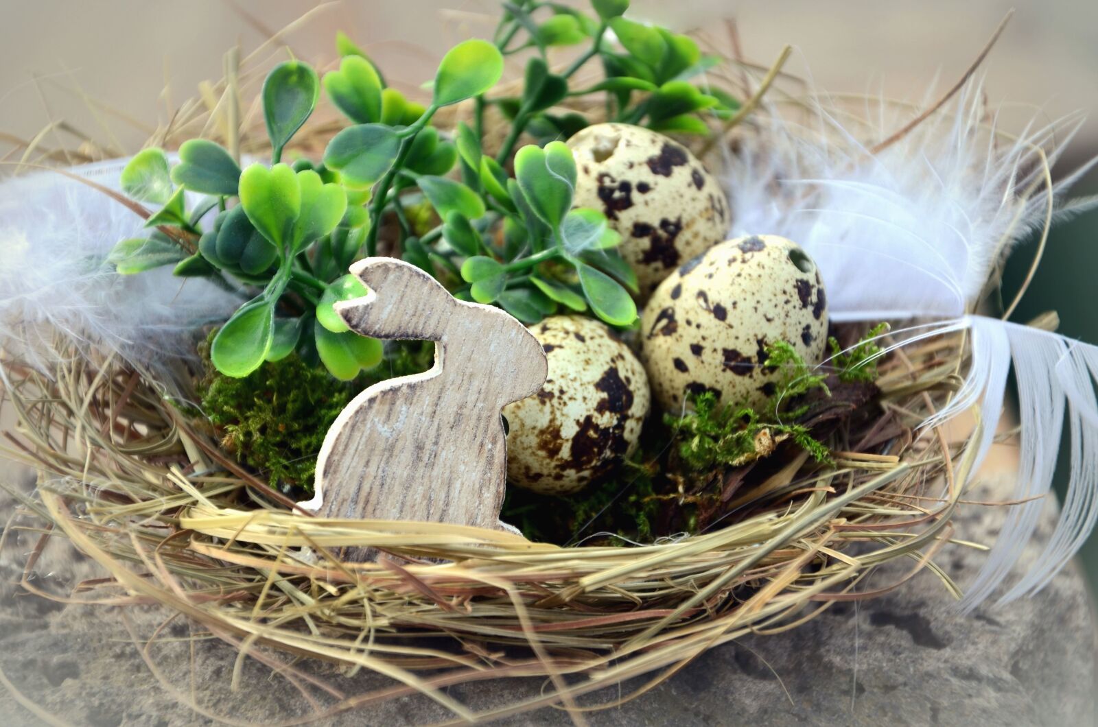 Nikon D5100 sample photo. Egg, bunny, nest, easter photography