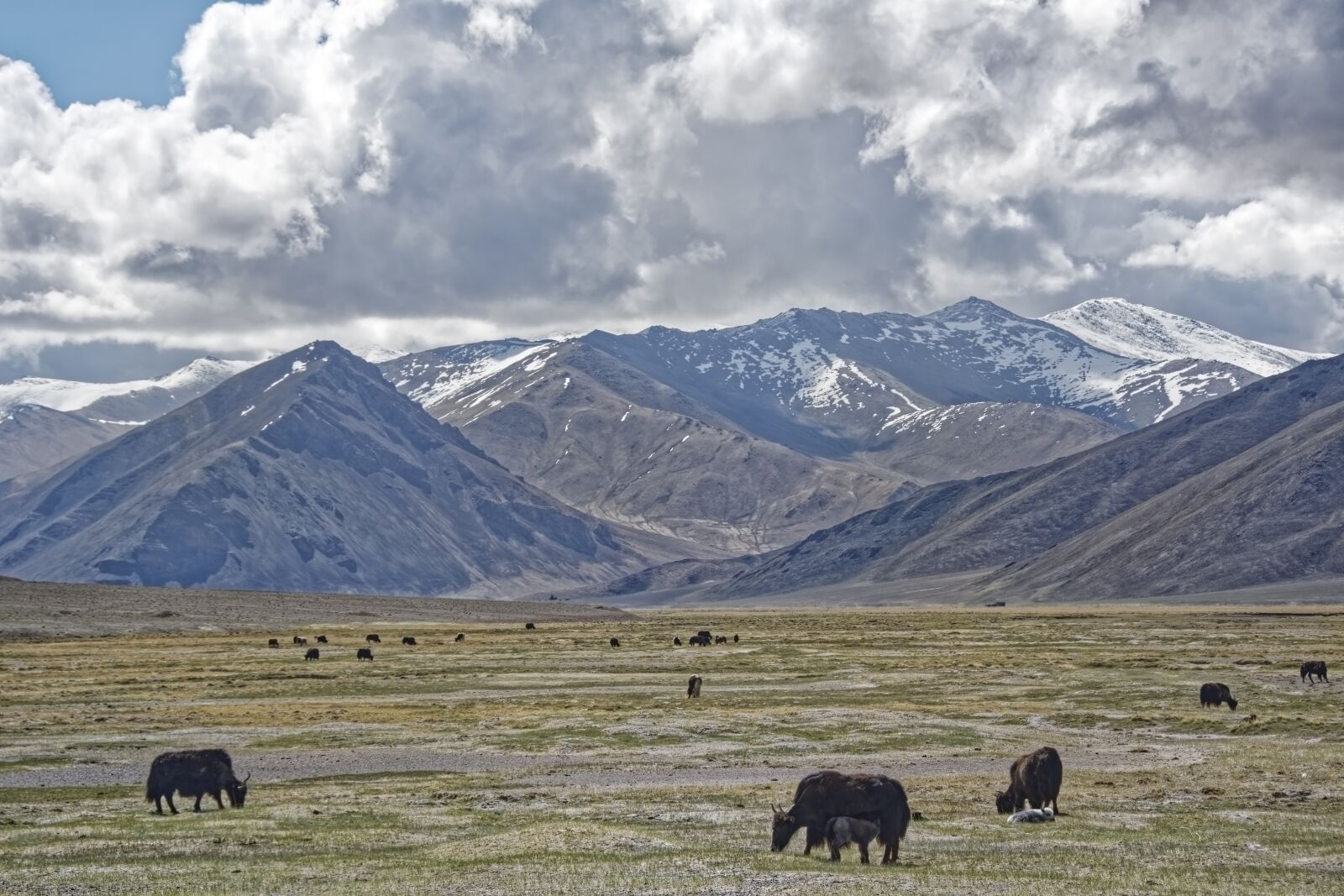 Nikon D500 sample photo. Tajikistan, the pamir mountains photography