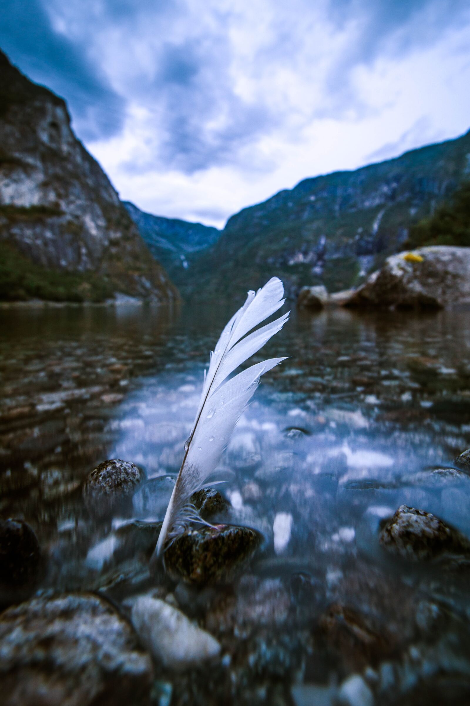 Canon EOS 200D (EOS Rebel SL2 / EOS Kiss X9) sample photo. Norway, feather, nature photography