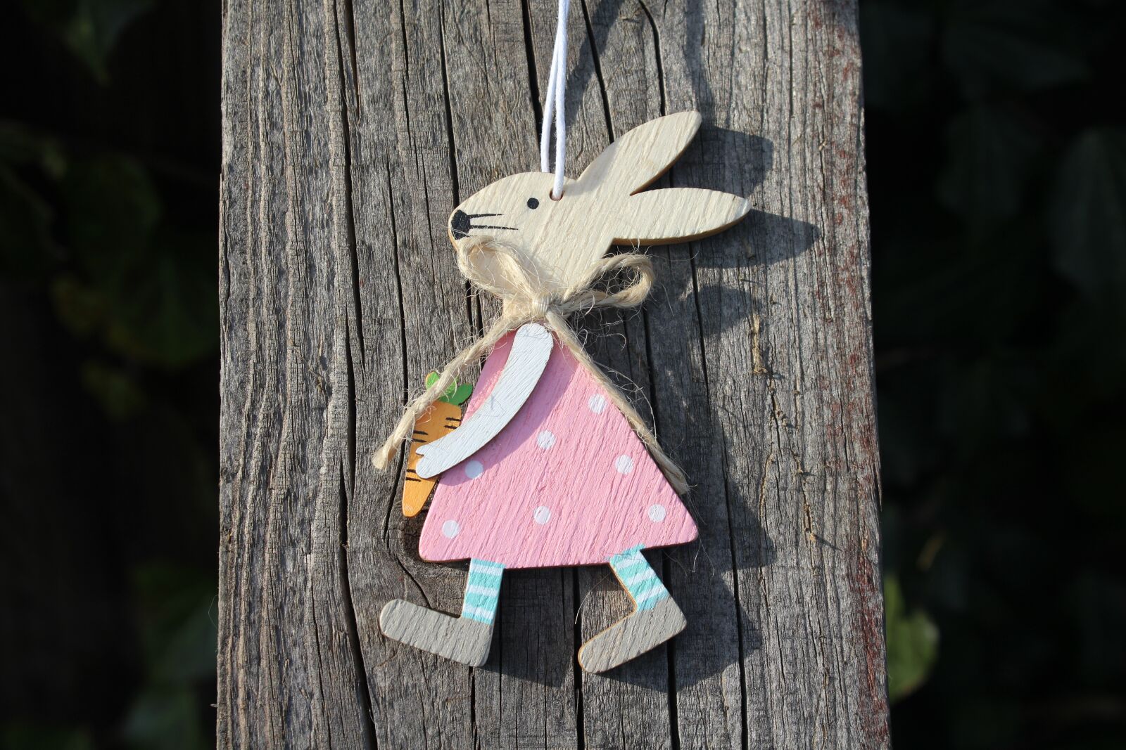 Canon EOS 1200D (EOS Rebel T5 / EOS Kiss X70 / EOS Hi) sample photo. Hare, bunny, pendant photography