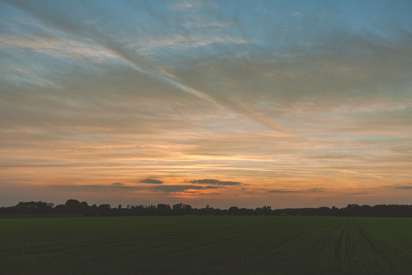 Canon EOS 5D Mark II + Canon EF 16-35mm F2.8L II USM sample photo. Sunset, countryside, sky photography