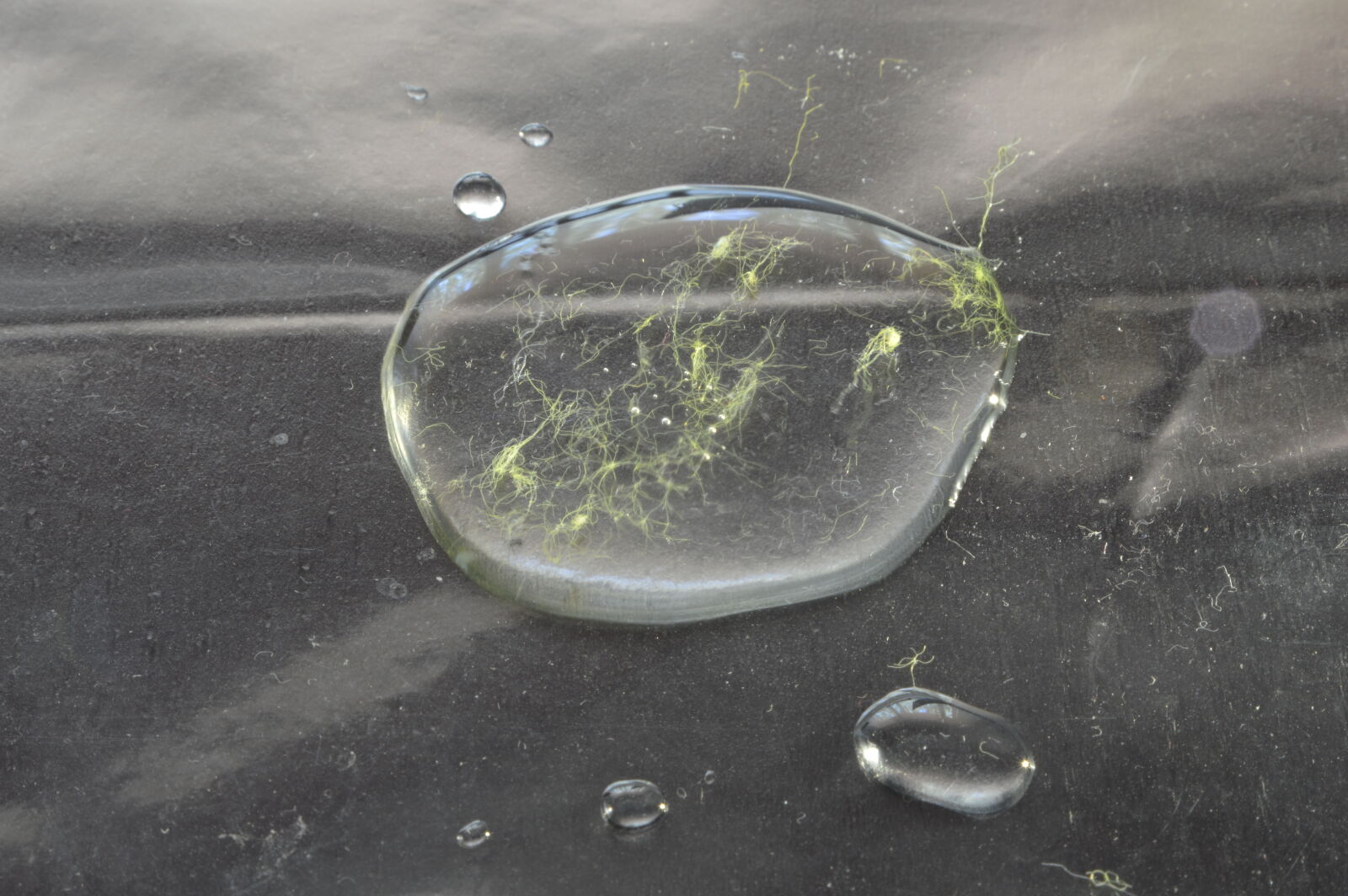 Nikon D3200 sample photo. Drops, of, water photography