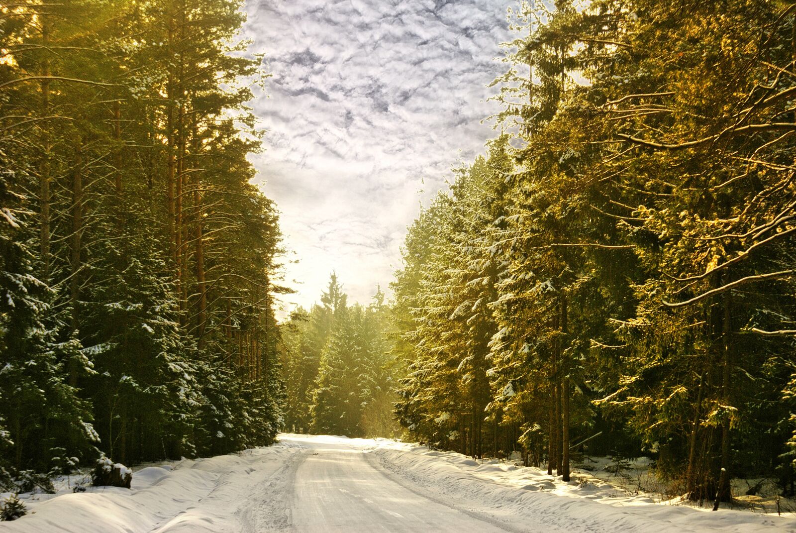 Sony Alpha DSLR-A100 sample photo. Forest, way, winter photography
