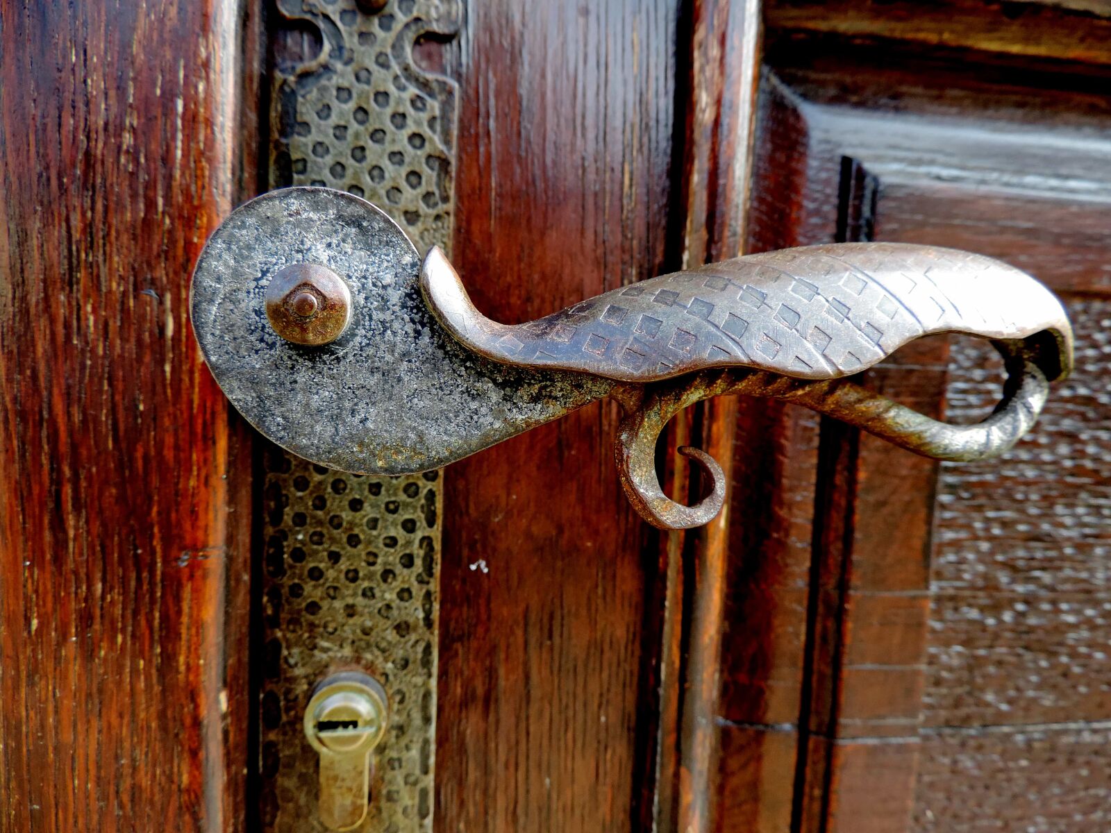 Nikon Coolpix P520 sample photo. Brass, gate, handmade, handle photography