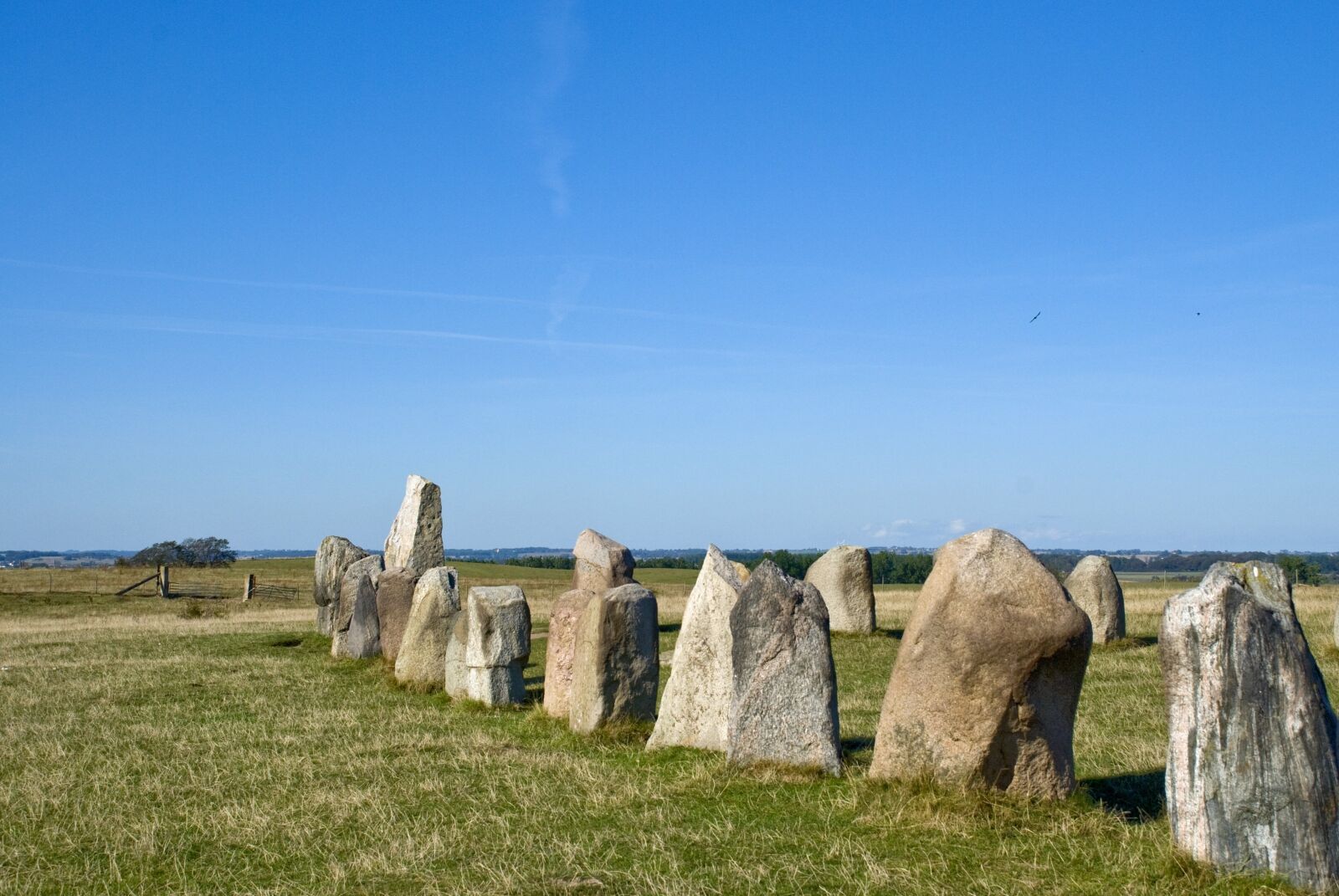 Nikon D80 sample photo. Ales stenar, antiquities, stones photography