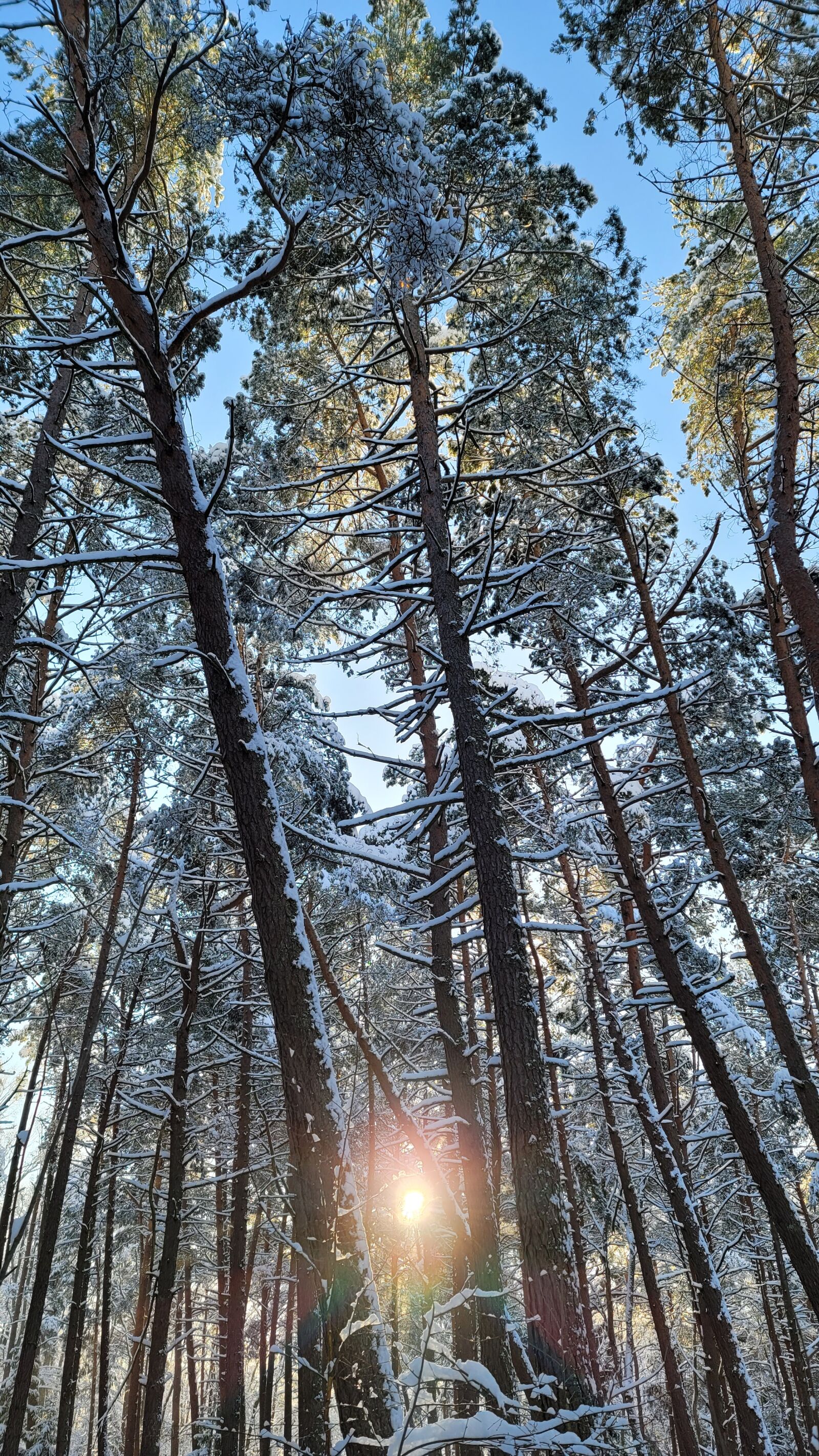 Samsung SM-N9860 sample photo - nyKgTupMrs - ExploreCams