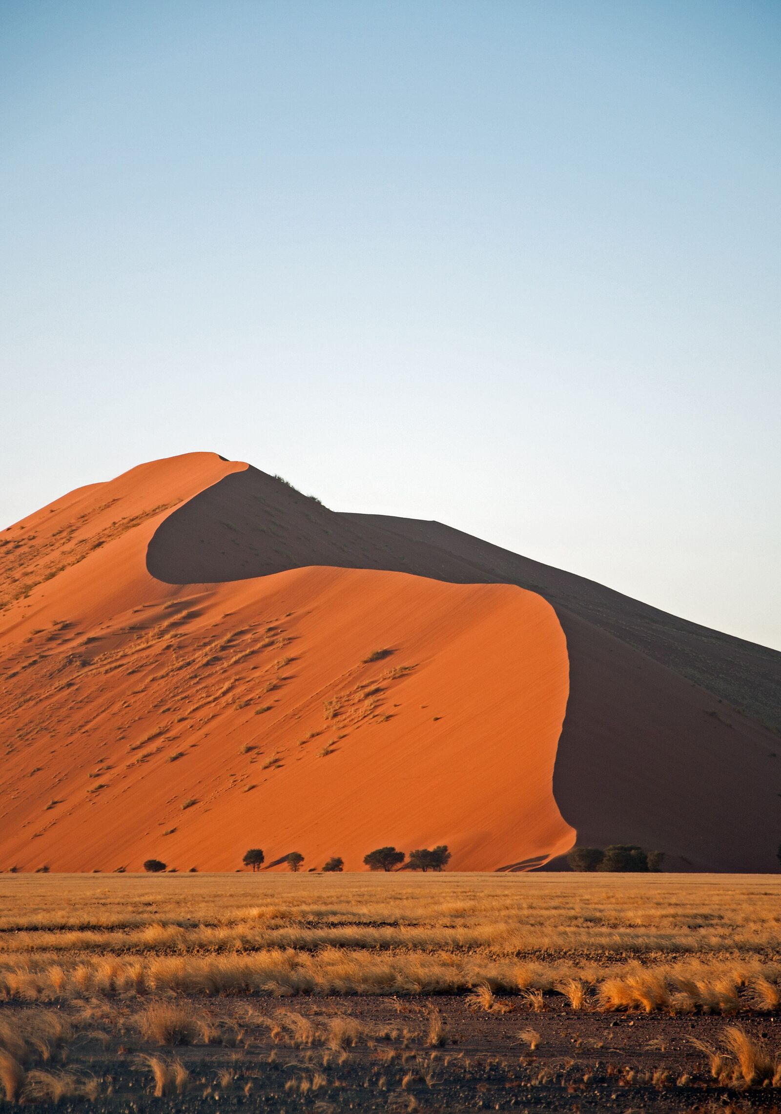 Nikon D90 sample photo. Desert, sand, red photography