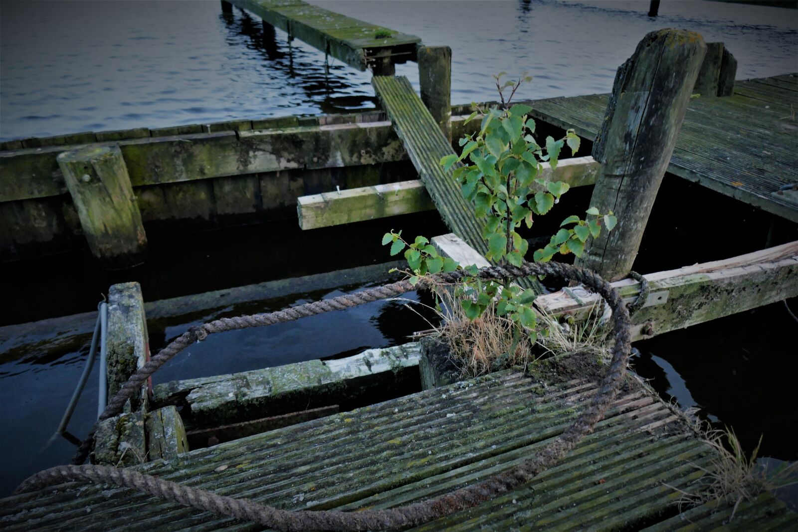 Panasonic DMC-TZ101 sample photo. Boardwalk, break up, morsch photography