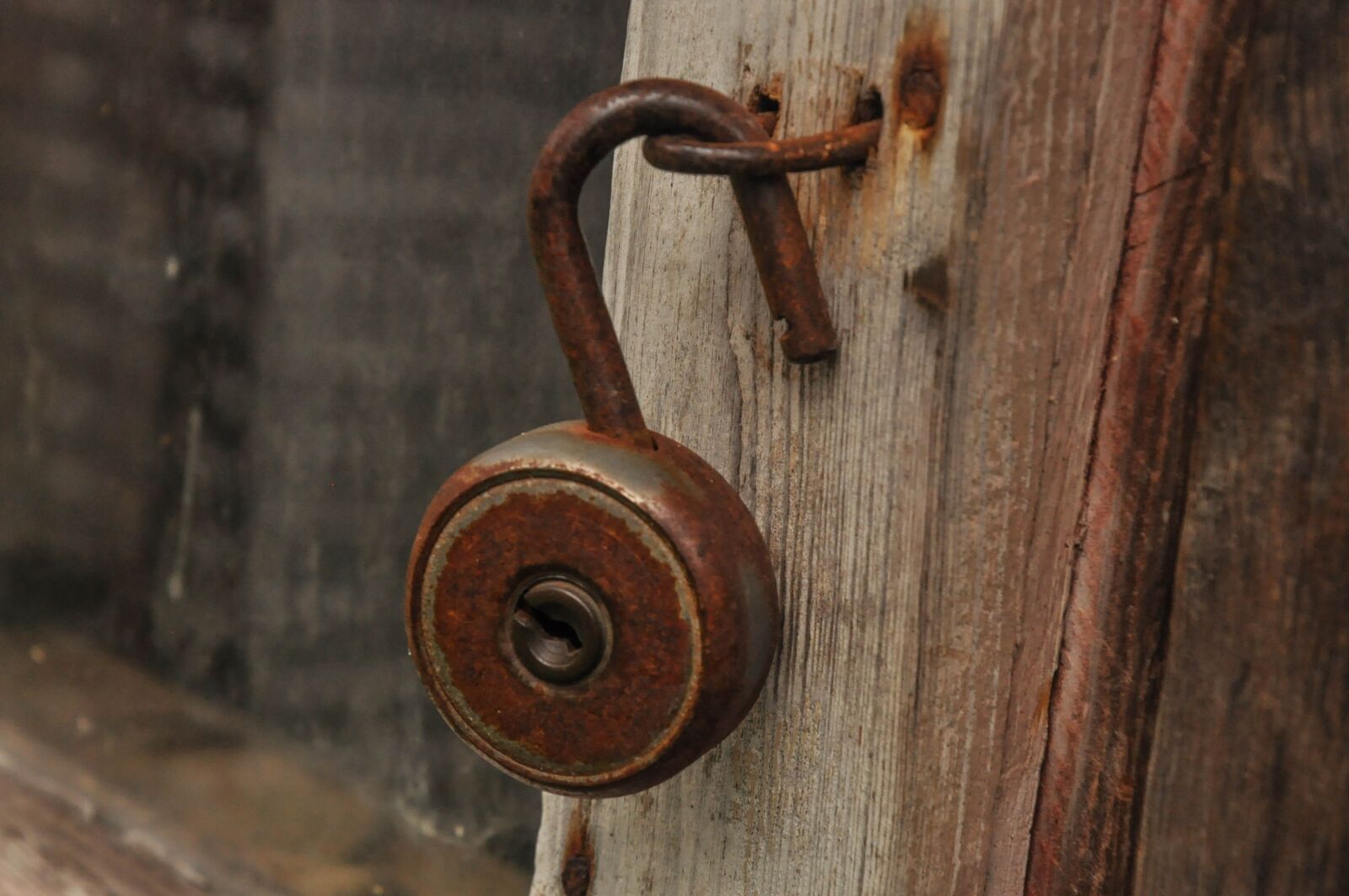 Nikon D90 sample photo. Open, padlock, lock photography